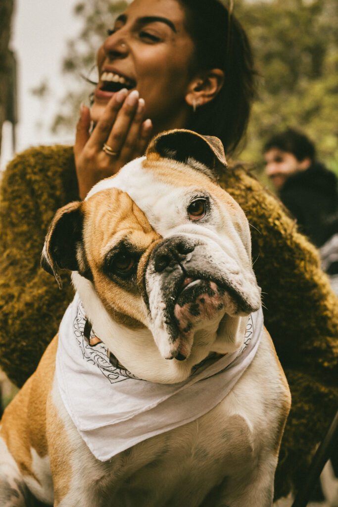 A smiling woman in a green sweater laughs behind her brown and white bulldog wearing a white bandana. With its head tilted toward the camera, the dog captures the charm of pet photography. Trees and people are blurred in the background.